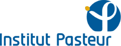 Logo de l'Institut Pasteur - Formation linguistique