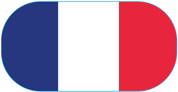 Drapeau Français - Quiz - Élysées Langues