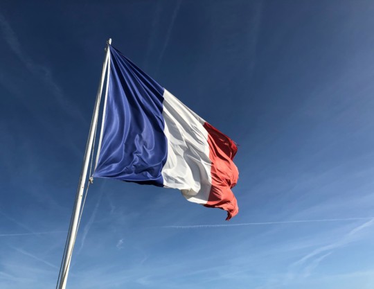 Première langue mondiale - Article de blog - ÉLYSÉES LANGUES